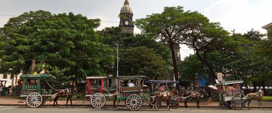 kalesa in front of manila cathedral