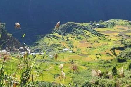 commute or bring your own car