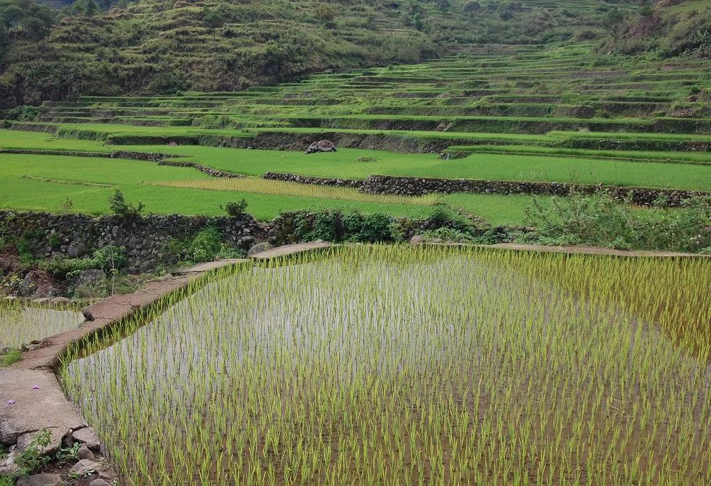 sagada tours from manila